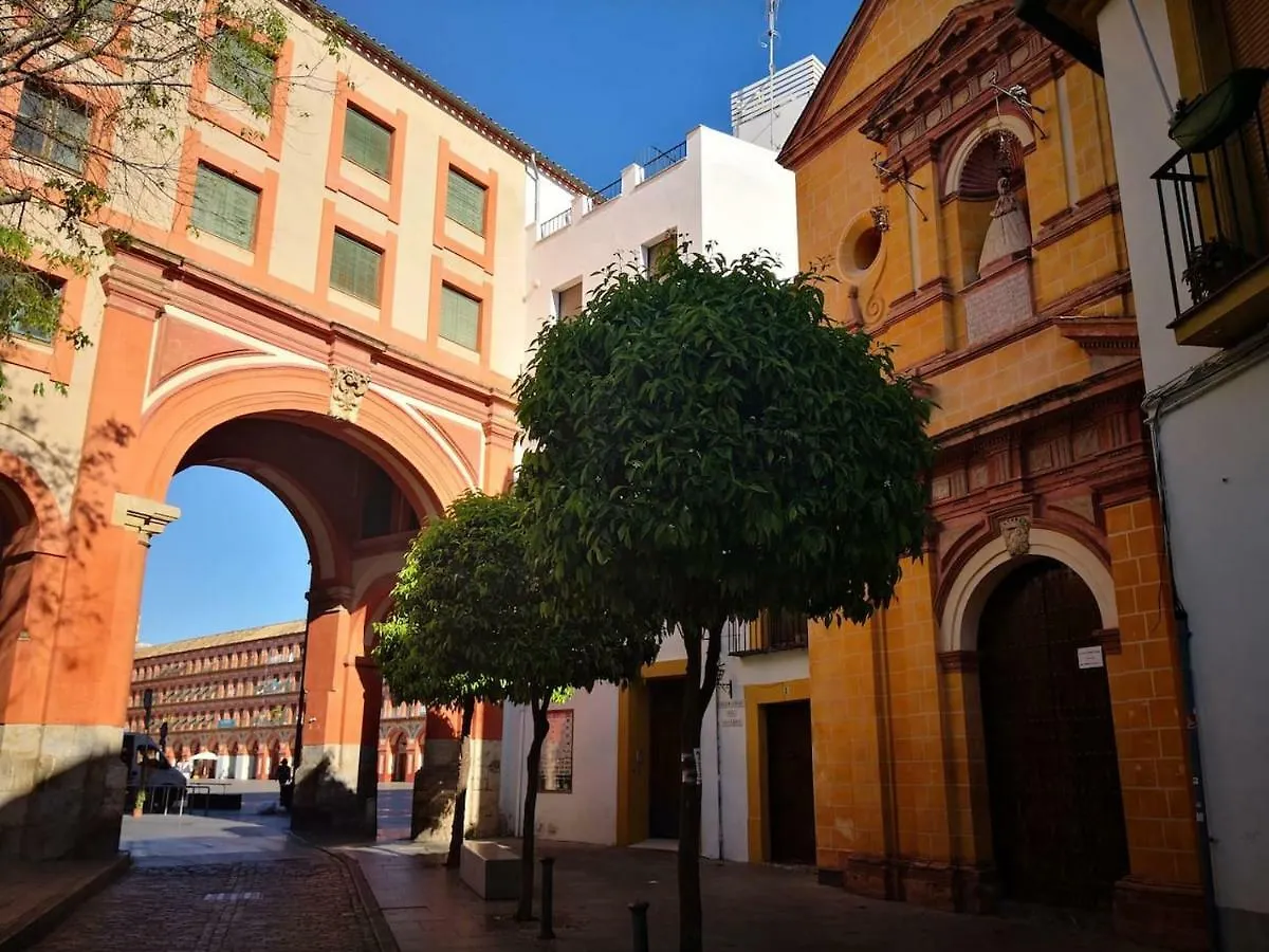 Apartamento Laura. Estancia Agradable En Cordoba Apartment