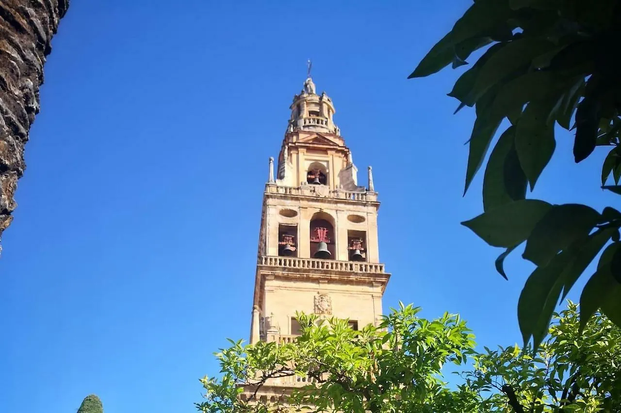 Apartamento Laura. Estancia Agradable En Cordoba Daire